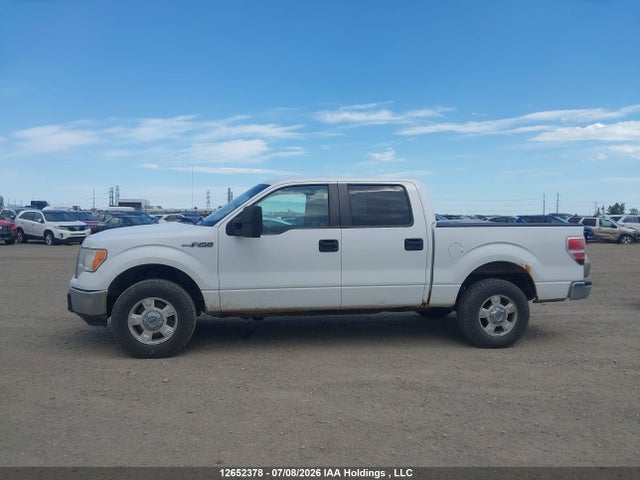 2012 Ford F-150 Xlt მანქანა იყიდება აუქციონზე, vin: 1FTFW1EF4CFB88437, აუქციონის ნომერი: 12652378