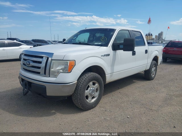 2012 Ford F-150 Xlt მანქანა იყიდება აუქციონზე, vin: 1FTFW1EF4CFB88437, აუქციონის ნომერი: 12652378