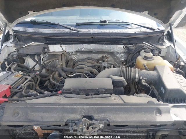 2012 Ford F-150 Xlt მანქანა იყიდება აუქციონზე, vin: 1FTFW1EF4CFB88437, აუქციონის ნომერი: 12652378