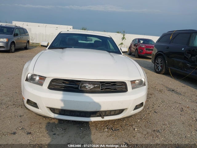2011 Ford Mustang V6 მანქანა იყიდება აუქციონზე, vin: 1ZVBP8AM3B5157917, აუქციონის ნომერი: 12663466