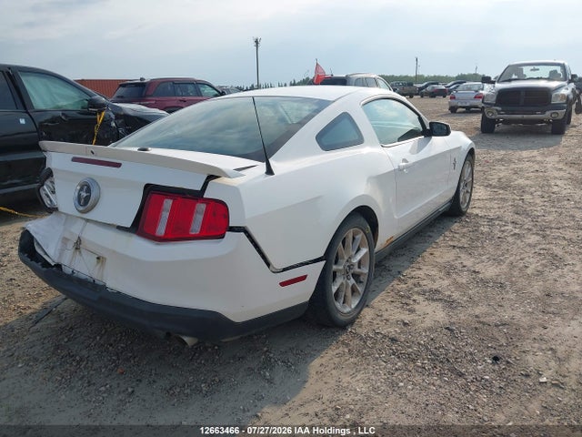 2011 Ford Mustang V6 მანქანა იყიდება აუქციონზე, vin: 1ZVBP8AM3B5157917, აუქციონის ნომერი: 12663466