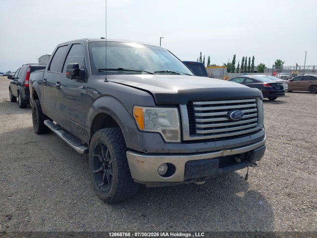 12668768 :رقم المزاد ، 1FTFW1EV2AFD05954 vin ، 2010 Ford F-150 Fx4/harley-davidson/king Ranch/lariat/platinum/xlt مزاد بيع