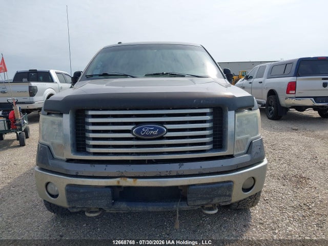 2010 Ford F-150 Fx4/harley-davidson/king Ranch/lariat/platinum/xlt მანქანა იყიდება აუქციონზე, vin: 1FTFW1EV2AFD05954, აუქციონის ნომერი: 12668768