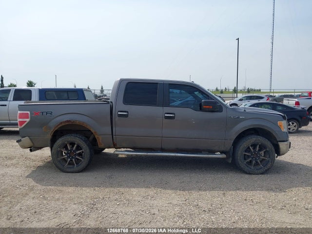 2010 Ford F-150 Fx4/harley-davidson/king Ranch/lariat/platinum/xlt მანქანა იყიდება აუქციონზე, vin: 1FTFW1EV2AFD05954, აუქციონის ნომერი: 12668768