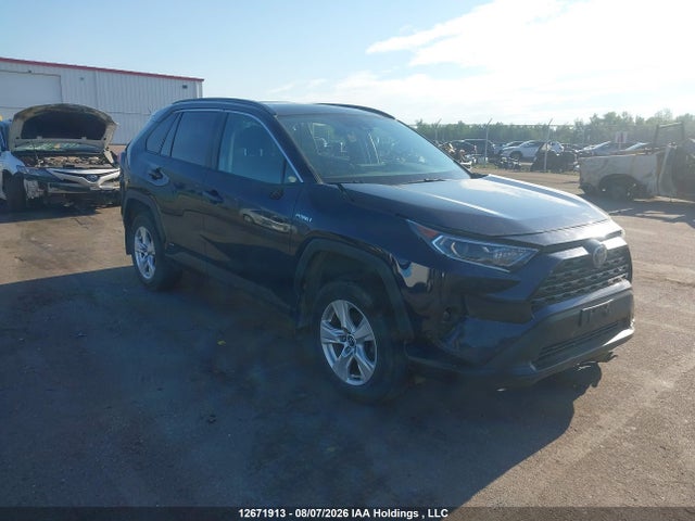 12671913 :رقم المزاد ، 2T3RWRFV2LW102736 vin ، 2020 Toyota Rav4 Hybrid Xle مزاد بيع