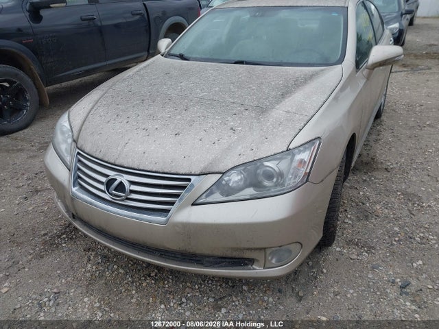 2010 Lexus Es 350 350 მანქანა იყიდება აუქციონზე, vin: JTHBK1EG4A2360598, აუქციონის ნომერი: 12672000