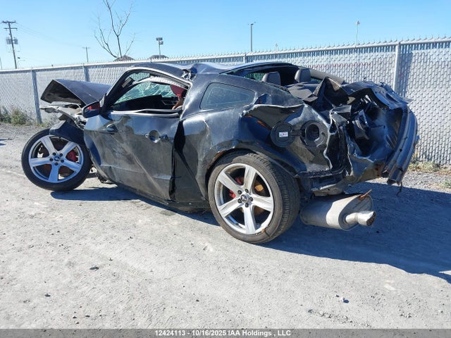 Продаж на аукціоні авто 2014 Ford Mustang, vin: 1ZVBP8AM7E5230176, номер лоту: 12424113