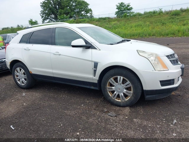 2011 Cadillac Srx Luxury Collection მანქანა იყიდება აუქციონზე, vin: 3GYFNDEY1BS584626, აუქციონის ნომერი: 12672271