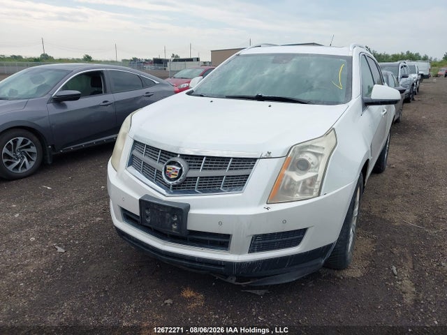2011 Cadillac Srx Luxury Collection მანქანა იყიდება აუქციონზე, vin: 3GYFNDEY1BS584626, აუქციონის ნომერი: 12672271