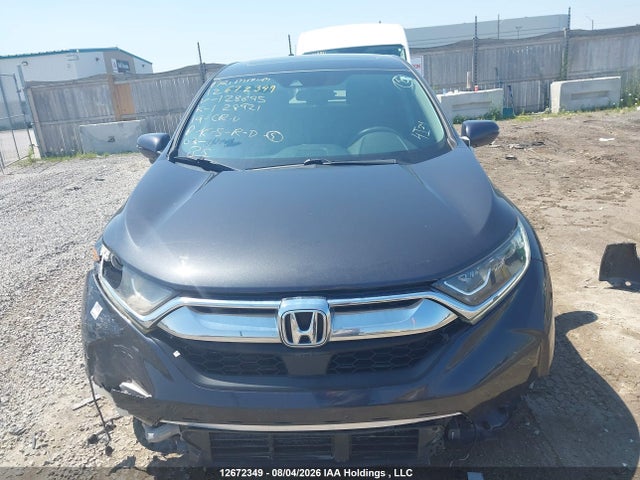 Honda CR-V EX 2019 2HKRW2H59KH128695 Image 12