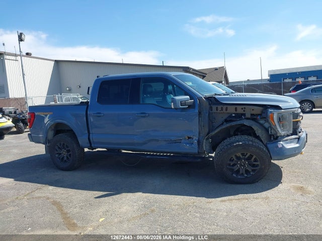 2023 Ford F-150 მანქანა იყიდება აუქციონზე, vin: 1FTEW1E80PFC70619, აუქციონის ნომერი: 12672443