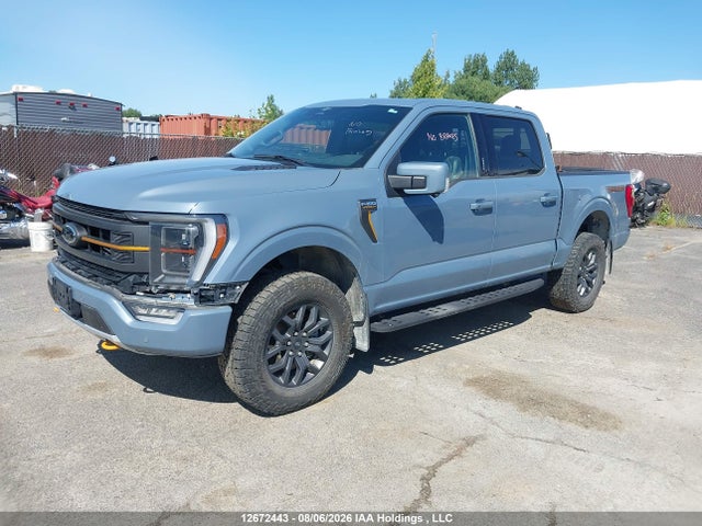 1FTEW1E80PFC70619 Ford F-150