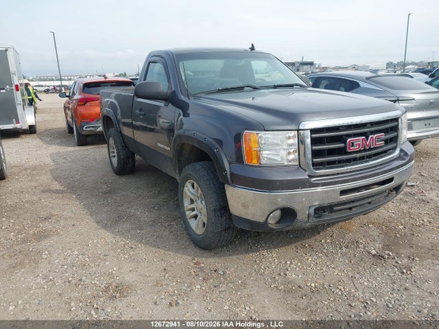 Auction sale of the 2010 Gmc Sierra 1500, vin: 1GTPKVE04AZ244102, lot number: 12672941