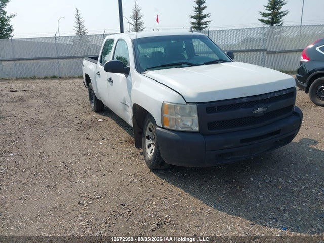 Продаж на аукціоні авто 2011 Chevrolet Silverado 1500 Wt, vin: 3GCPKPEA2BG166795, номер лоту: 12672950