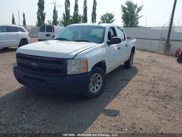Продаж на аукціоні авто 2011 Chevrolet Silverado 1500 Wt, vin: 3GCPKPEA2BG166795, номер лоту: 12672950