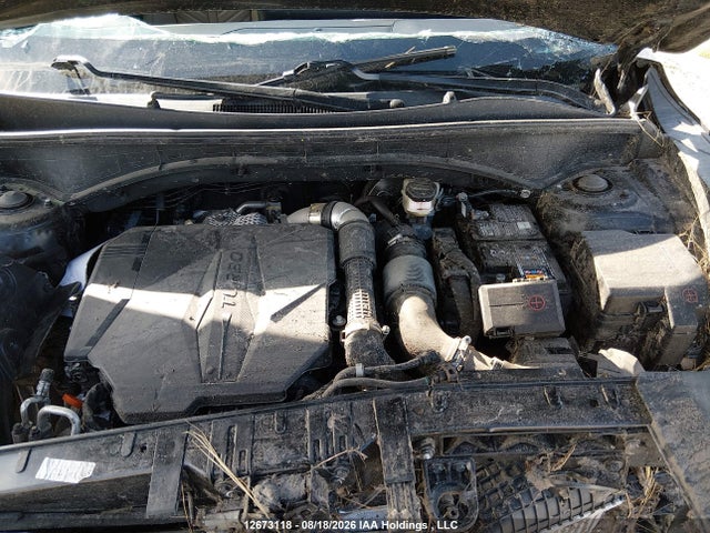 12673118 :رقم المزاد ، 5XYRKDJF2RG266557 vin ، 2024 Kia Sorento Sx/x-line Sx Prestige/x-pro Sx Prestige مزاد بيع