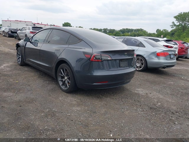 Tesla MODEL 3 2023 5YJ3E1EA0PF482597 Image 3