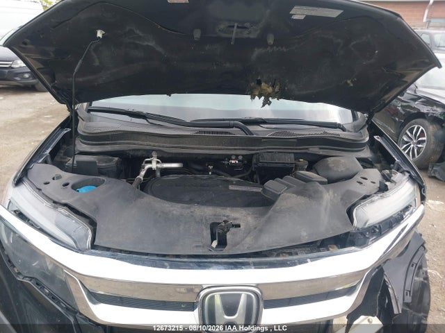 Продаж на аукціоні авто 2019 Honda Pilot, vin: 5FNYF6H3XKB507964, номер лоту: 12673215