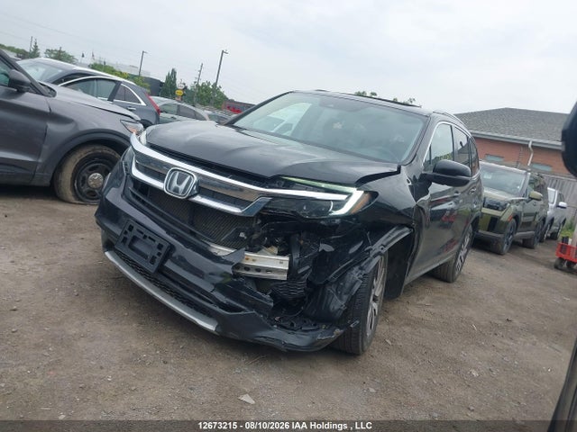 Продаж на аукціоні авто 2019 Honda Pilot, vin: 5FNYF6H3XKB507964, номер лоту: 12673215