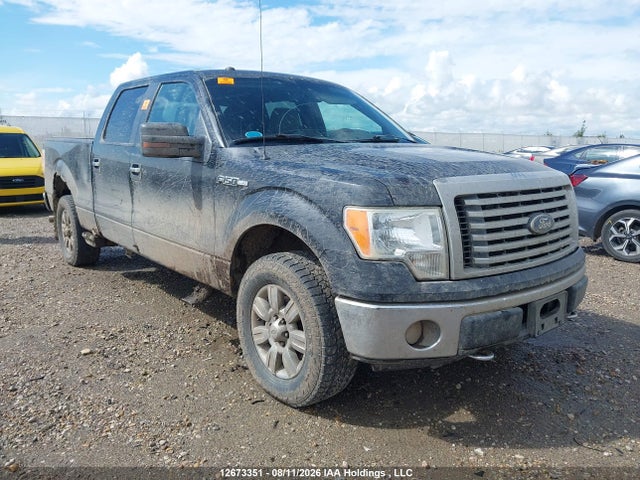 Продажа на аукционе авто 2010 Ford F-150 Fx4/harley-davidson/king Ranch/lariat/platinum/xlt, vin: 1FTFW1EV1AFA66235, номер лота: 12673351