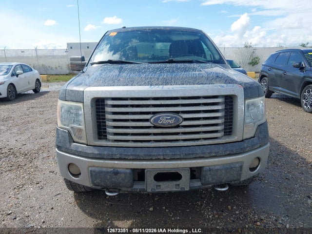 Продаж на аукціоні авто 2010 Ford F-150 Fx4/harley-davidson/king Ranch/lariat/platinum/xlt, vin: 1FTFW1EV1AFA66235, номер лоту: 12673351