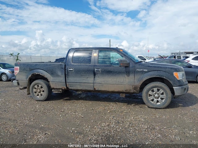 Продаж на аукціоні авто 2010 Ford F-150 Fx4/harley-davidson/king Ranch/lariat/platinum/xlt, vin: 1FTFW1EV1AFA66235, номер лоту: 12673351