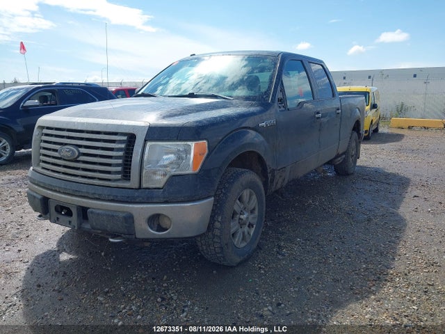 Продаж на аукціоні авто 2010 Ford F-150 Fx4/harley-davidson/king Ranch/lariat/platinum/xlt, vin: 1FTFW1EV1AFA66235, номер лоту: 12673351