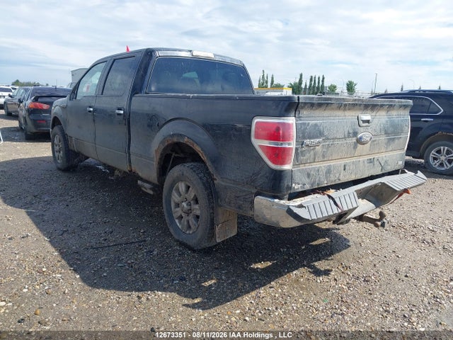Продаж на аукціоні авто 2010 Ford F-150 Fx4/harley-davidson/king Ranch/lariat/platinum/xlt, vin: 1FTFW1EV1AFA66235, номер лоту: 12673351