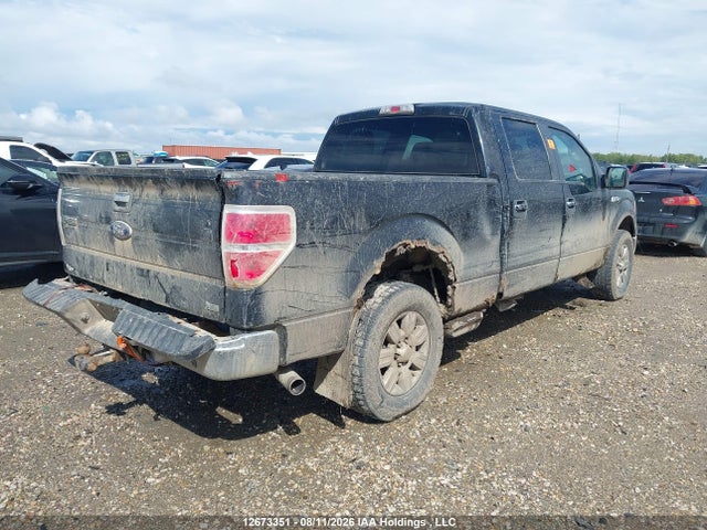 Продаж на аукціоні авто 2010 Ford F-150 Fx4/harley-davidson/king Ranch/lariat/platinum/xlt, vin: 1FTFW1EV1AFA66235, номер лоту: 12673351