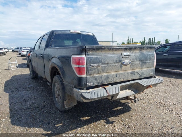 Продаж на аукціоні авто 2010 Ford F-150 Fx4/harley-davidson/king Ranch/lariat/platinum/xlt, vin: 1FTFW1EV1AFA66235, номер лоту: 12673351