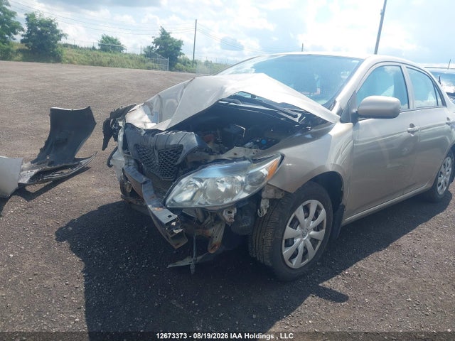 2010 Toyota Corolla Ce მანქანა იყიდება აუქციონზე, vin: 2T1BU4EE5AC387614, აუქციონის ნომერი: 12673373