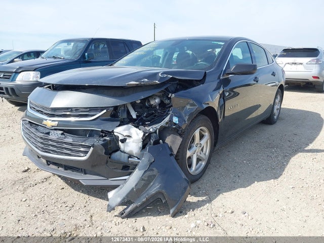 12673431 :رقم المزاد ، 1G1ZB5STXHF278248 vin ، 2017 Chevrolet Malibu Ls مزاد بيع