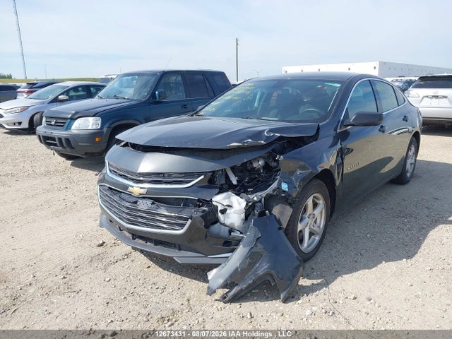 12673431 :رقم المزاد ، 1G1ZB5STXHF278248 vin ، 2017 Chevrolet Malibu Ls مزاد بيع
