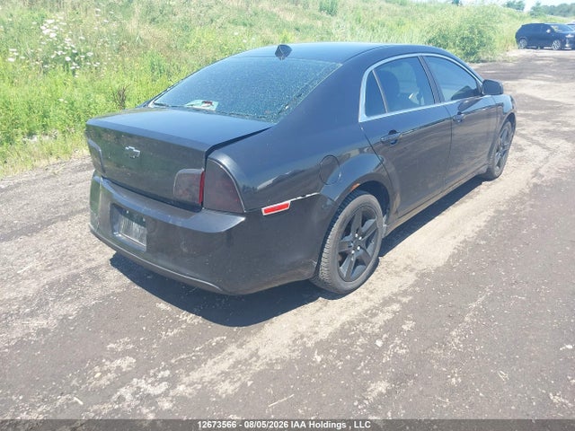 12673566 :رقم المزاد ، 1G1ZB5EU1CF146119 vin ، 2012 Chevrolet Malibu Ls مزاد بيع