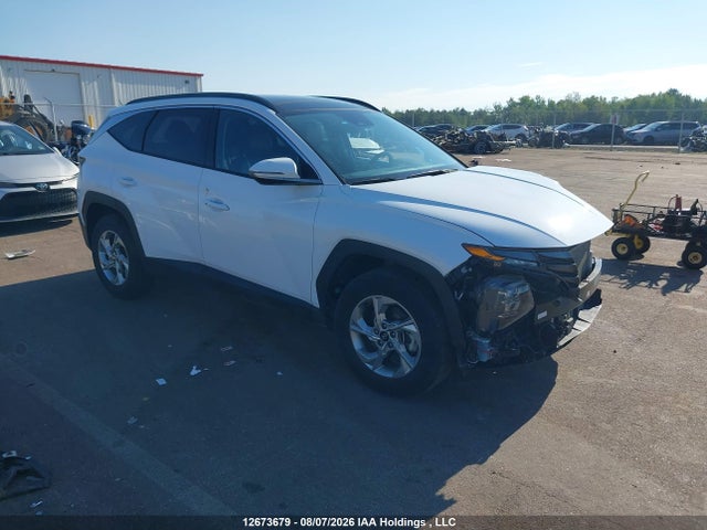 12673679 :رقم المزاد ، KM8JCCAE6PU230826 vin ، 2023 Hyundai Tucson مزاد بيع