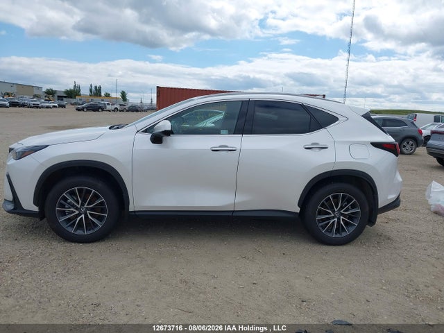 12673716 :رقم المزاد ، 2T2GKCEZ0SC043372 vin ، 2025 Lexus Nx 350h 350h مزاد بيع