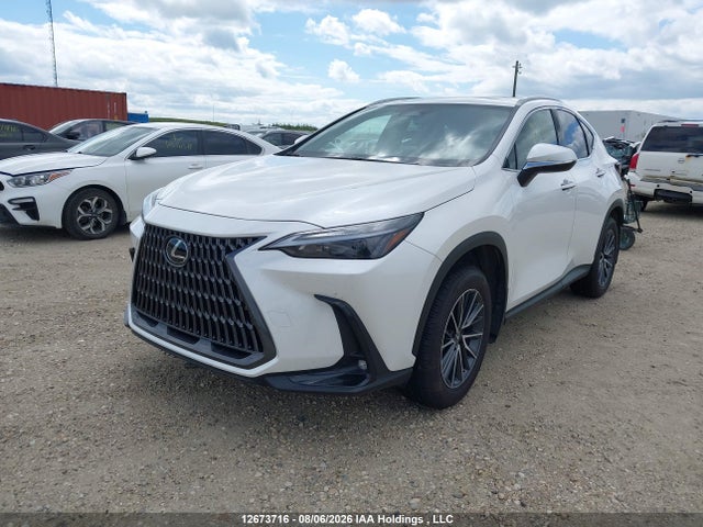 12673716 :رقم المزاد ، 2T2GKCEZ0SC043372 vin ، 2025 Lexus Nx 350h 350h مزاد بيع