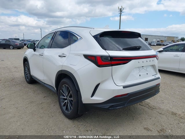 12673716 :رقم المزاد ، 2T2GKCEZ0SC043372 vin ، 2025 Lexus Nx 350h 350h مزاد بيع