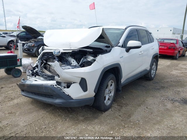 12673767 :رقم المزاد ، 2T3BWRFV3KW002192 vin ، 2019 Toyota Rav4 Hybrid مزاد بيع