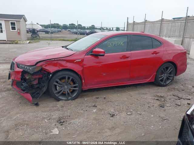 Acura Tlx Advance 2019 19UUB3F80KA800659 Image 15
