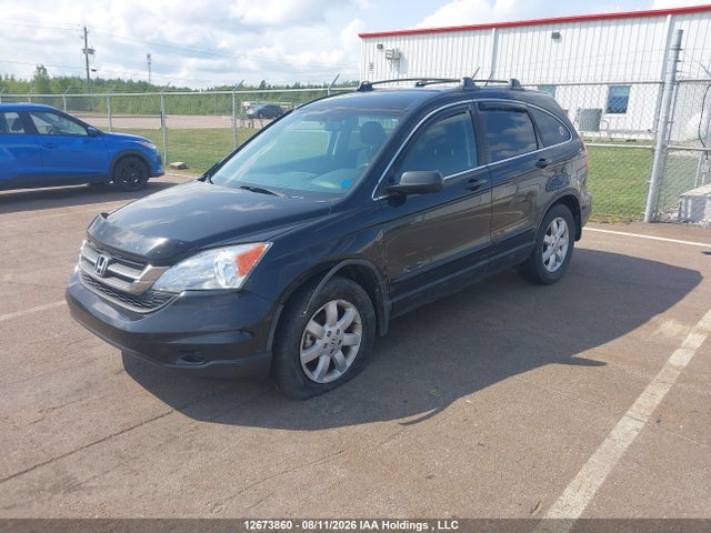 2011 Honda Cr-v Lx მანქანა იყიდება აუქციონზე, vin: 5J6RE4H33BL806439, აუქციონის ნომერი: 12673860