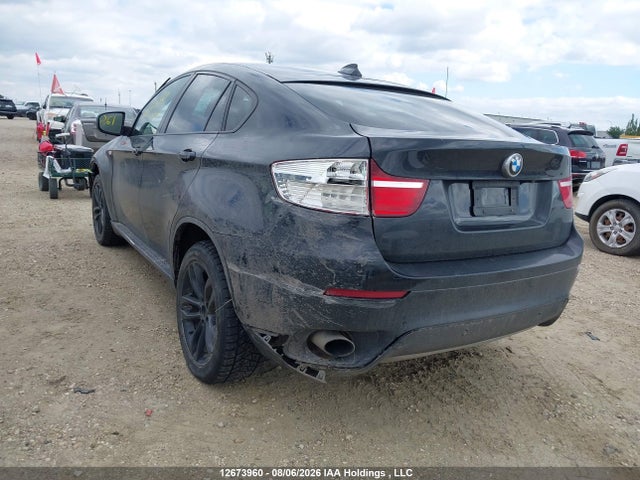 Aukcja sprzedaży 2013 Bmw X6 Xdrive35i, vin: 5UXFG2C58DL785069, numer aukcji: 12673960
