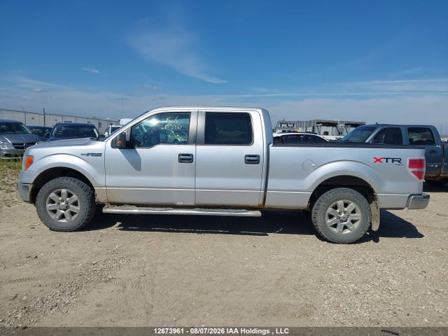 Ford F-150 Xlt 2014 1FTFW1EF9EFC45329 Image 14
