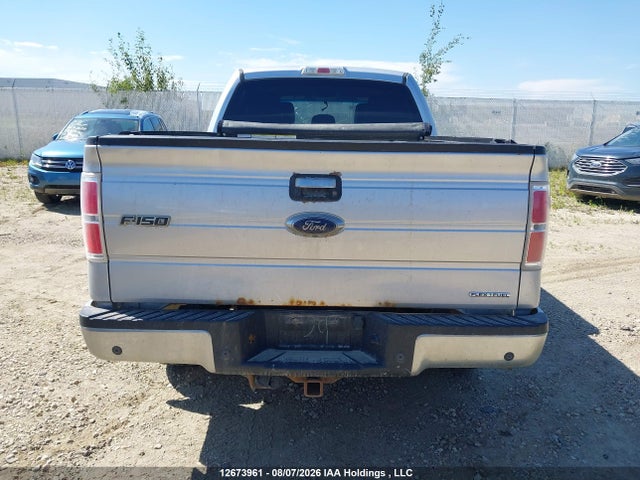 Ford F-150 Xlt 2014 1FTFW1EF9EFC45329 Image 16