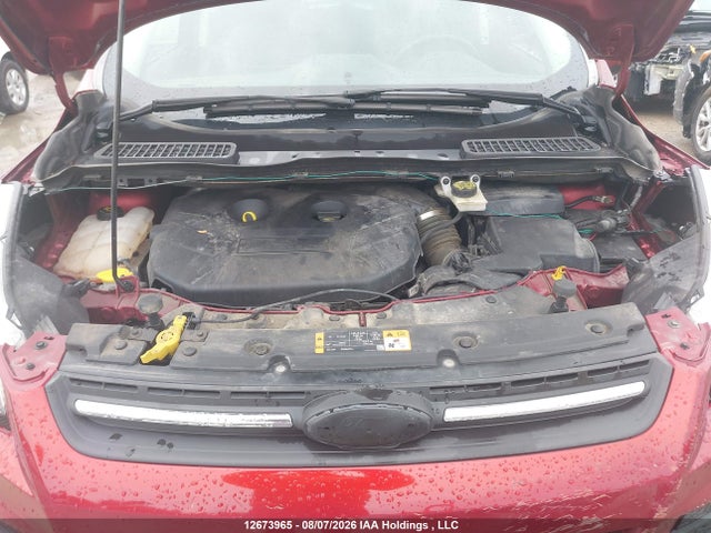 Продаж на аукціоні авто 2014 Ford Escape, vin: 1FMCU9G9XEUD75528, номер лоту: 12673965