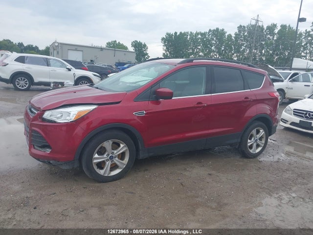 Продаж на аукціоні авто 2014 Ford Escape, vin: 1FMCU9G9XEUD75528, номер лоту: 12673965