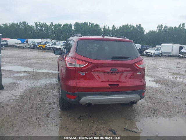 Продаж на аукціоні авто 2014 Ford Escape, vin: 1FMCU9G9XEUD75528, номер лоту: 12673965