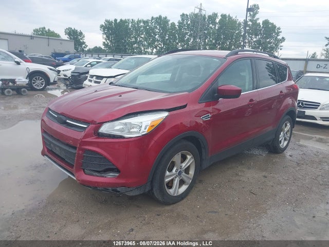 Продаж на аукціоні авто 2014 Ford Escape, vin: 1FMCU9G9XEUD75528, номер лоту: 12673965