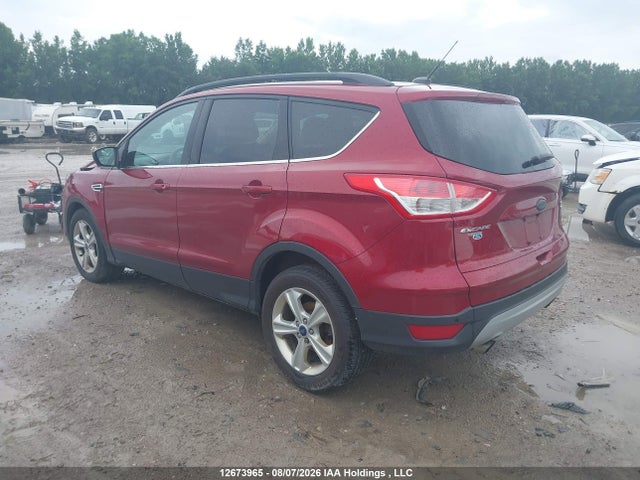 Продаж на аукціоні авто 2014 Ford Escape, vin: 1FMCU9G9XEUD75528, номер лоту: 12673965