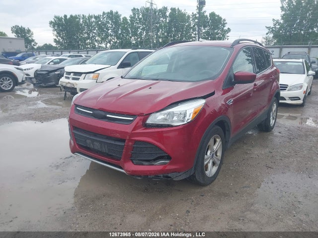 Продаж на аукціоні авто 2014 Ford Escape, vin: 1FMCU9G9XEUD75528, номер лоту: 12673965